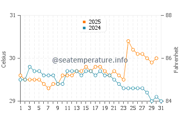Misool water temp chart in January