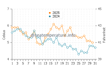 Wassertemperatur Moskenes im Januar