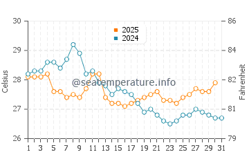 Temperature dell'acqua a Ngwesaung a gennaio