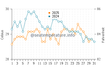 Temperatura vode u Nosy Boraha u siječnju