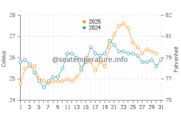 Wassertemperatur Palhoça im Januar