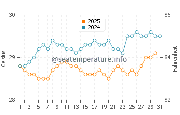 Wassertemperatur Paracurú im Januar