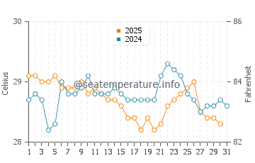 Wassertemperatur Patong im Januar