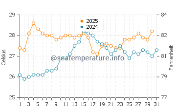 Wassertemperatur Ponta Malongane im Januar