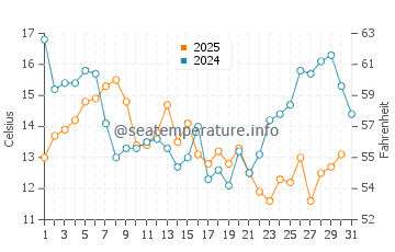 Temperature dell'acqua a Puertecillo a gennaio