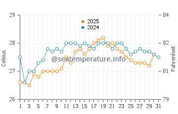 Temperature dell'acqua a Puerto Castilla a gennaio