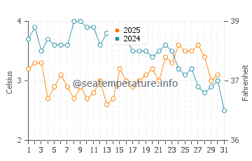 Wassertemperatur Reykjavík im Januar