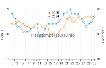 Temperature dell'acqua a Sao Jose da Coroa Grande a gennaio