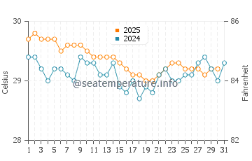 Wassertemperatur Tafunsak im Januar