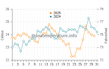 Umina Beach water temp chart in January