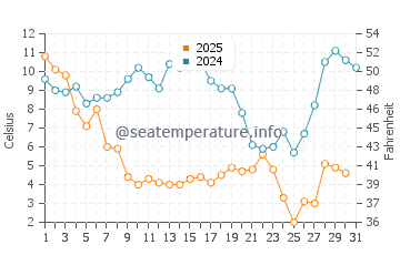 Rose Bay water temp chart in January