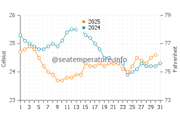 Wassertemperatur Virar im Januar