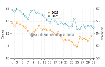 Wassertemperatur Vrsar im Januar