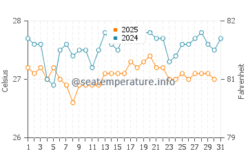 Wassertemperatur Xcalak im Januar