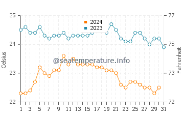 Costa Calma water temp chart in October
