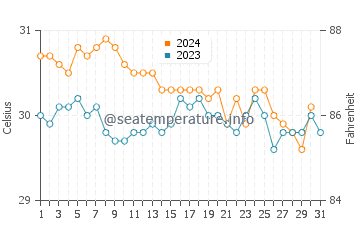 Temperature dell'acqua a Port Elizabeth ad ottobre