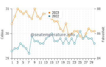 Apo Reef water temp chart in November