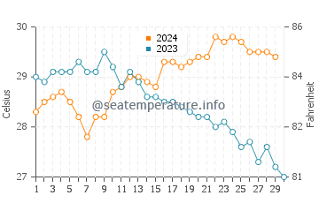 Temperatura del agua en Araya en noviembre