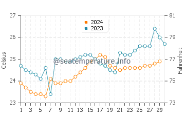 Temperature dell'acqua a Bajo Alto a novembre