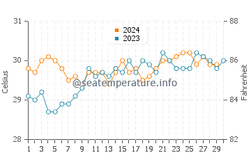 Temperature dell'acqua a Baluk a novembre