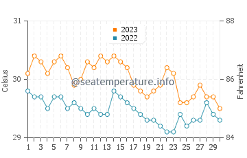 Wassertemperatur Batobato im November