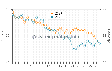 Temperature dell'acqua a Cabo Rojo a novembre