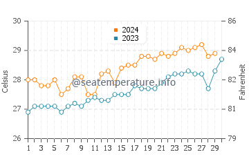 Cape York water temp chart in November