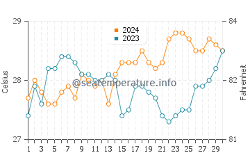 Temperatura del agua en Castaway Island en noviembre