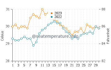 Températures de l'eau à Cato en novembre