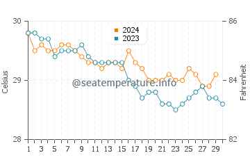 Temperature dell'acqua a Punta Catuano a novembre