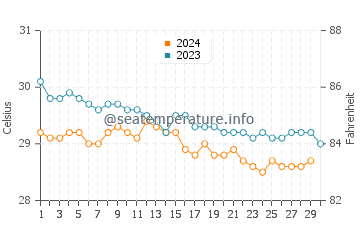 Temperature dell'acqua a Seven Mile Beach a novembre