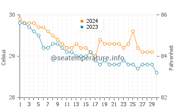 Wassertemperatur Central Aguirre im November