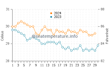 Temperatura da água em Coconut Bay em novembro