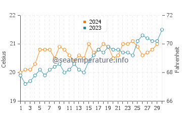 Collaroy water temp chart in November