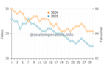 Temperature dell'acqua a Condado Beach a novembre