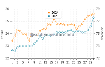 Temperature dell'acqua a Currimundi a novembre