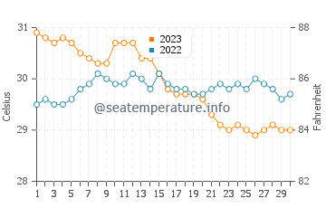 Temperatura vode u Damolog u studenom