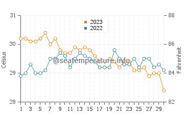Températures de l'eau à Dauin en novembre
