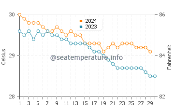 Temperature dell'acqua a Dorado a novembre