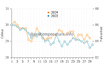 Températures de l'eau à Icacos en novembre