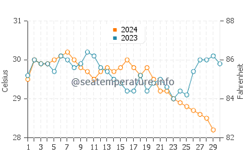 Temperatura vode u Plaža leptira u studenom