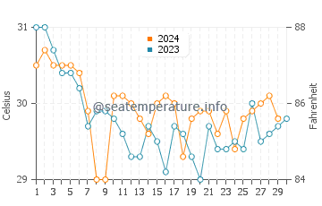 Wassertemperatur Irapa im November