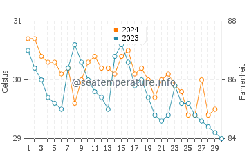 Wassertemperatur Ko Lan im November