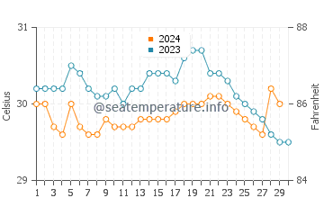Températures de l'eau à Majene en novembre