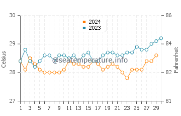 Temperature dell'acqua a Marapanim a novembre