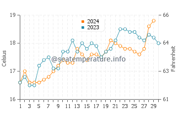 Marsden Point water temp chart in November