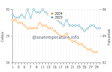 Temperature dell'acqua a Ocho Rios a novembre