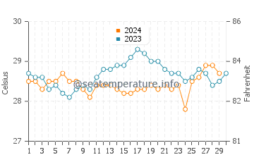 Températures de l'eau à Ofu en novembre