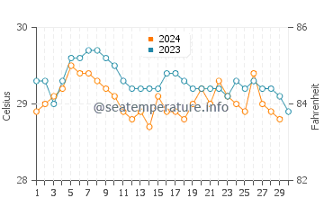 Temperature dell'acqua a Palmas Bellas a novembre