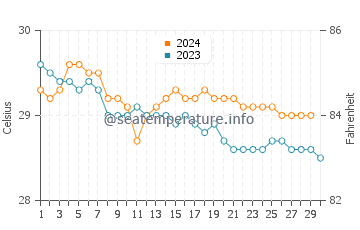 Temperature dell'acqua a Isla Palominos a novembre